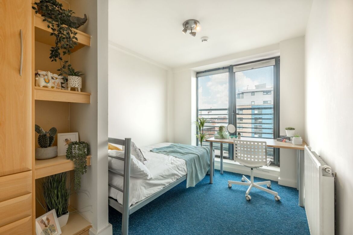 Apt 9 Regent Terrace Image 5