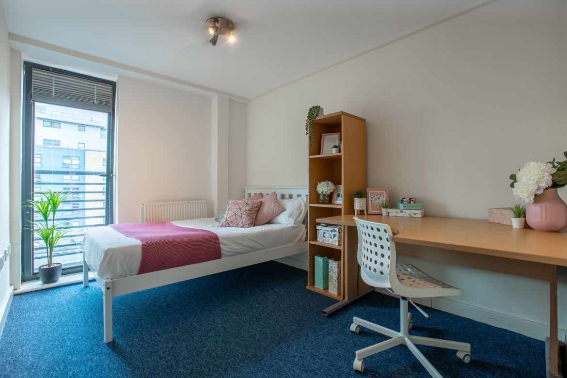 Apt 6 Regent Terrace Image 5