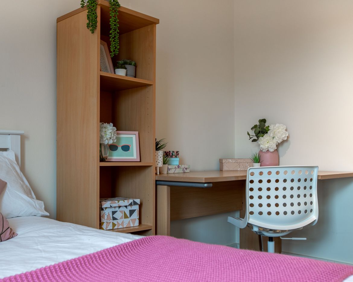 Apt 6 Regent Terrace Image 6