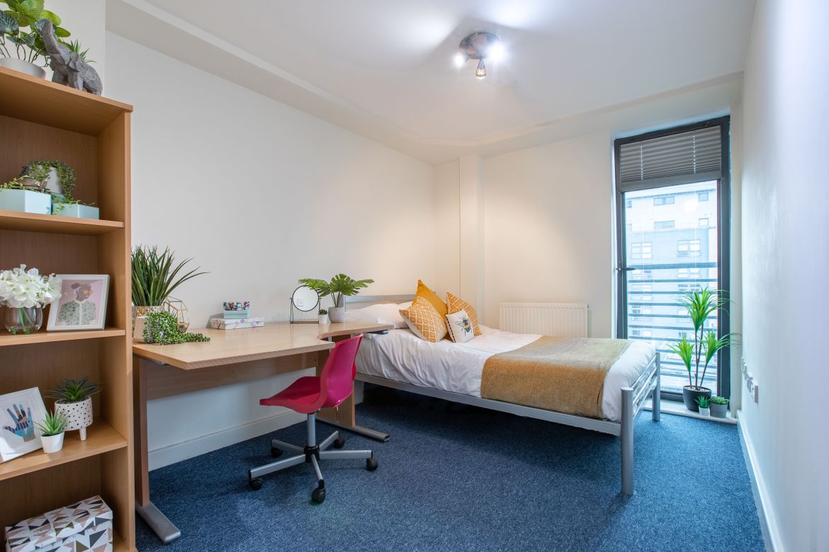 Apt 6 Regent Terrace Image 7