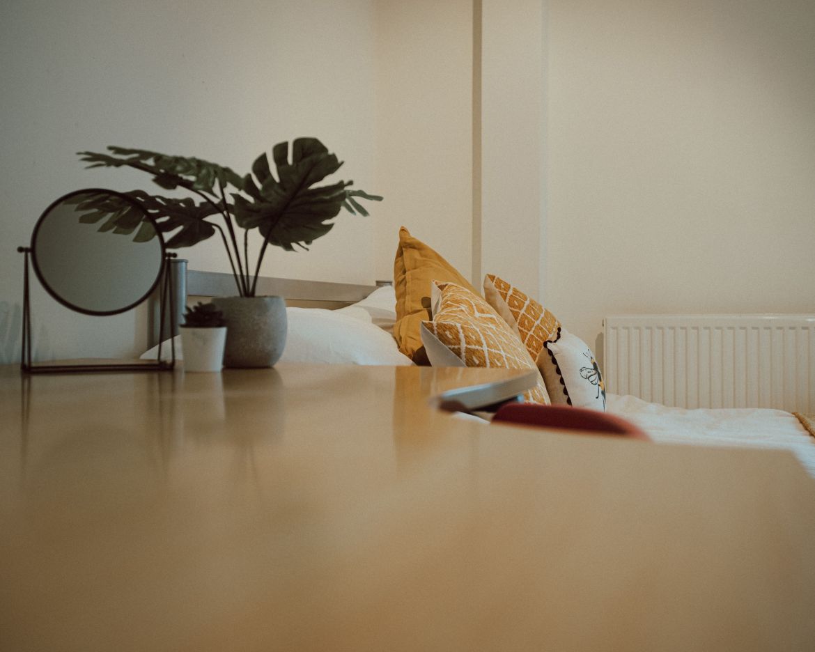 Apt 6 Regent Terrace Image 8