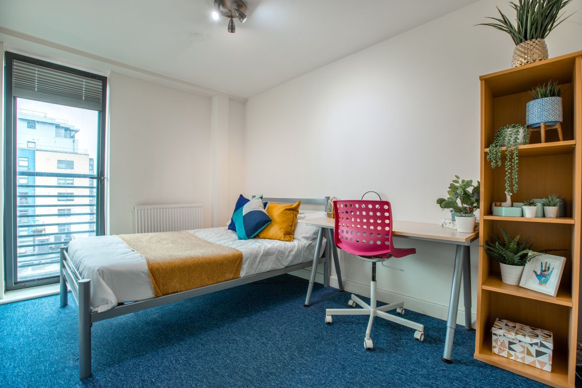 Apt 6 Regent Terrace Image 9