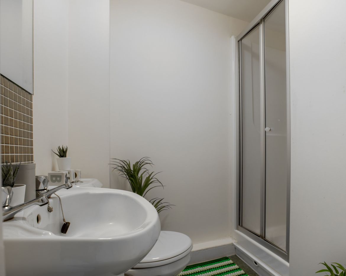 Apt 6 Regent Terrace Image 10