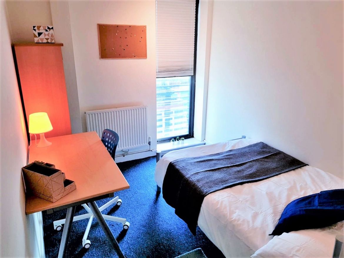 Apt 7 Regent Terrace Image 3