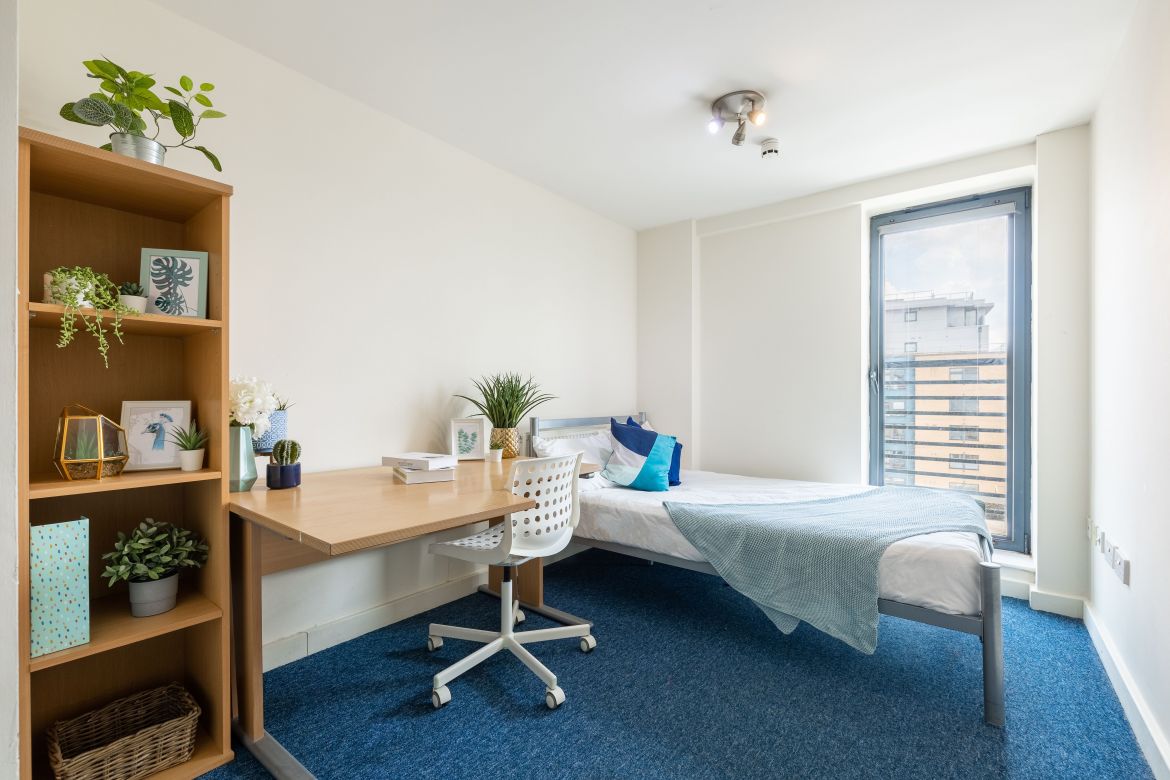 Apt 9 Regent Terrace Image 10