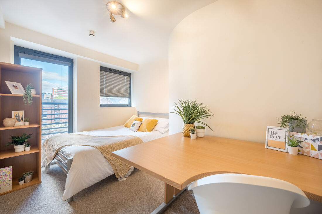 Apt 3 Regent Terrace Image